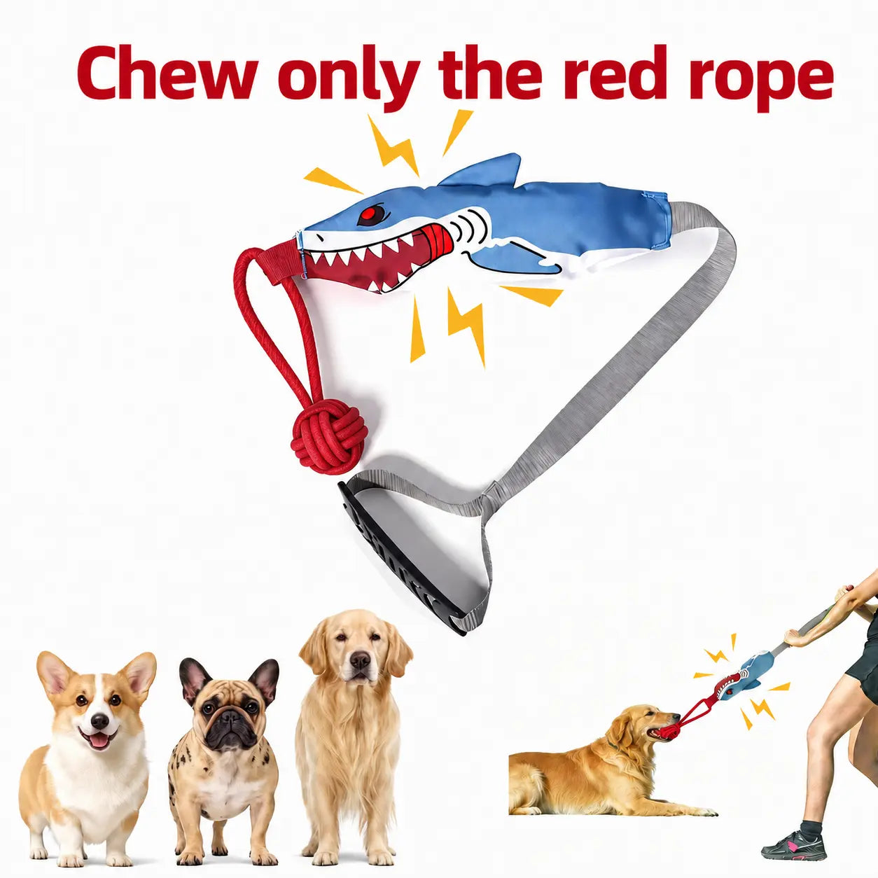 Interactive Tug Toy for Dogs - Designed for Engaging Playtime, Teeth Cleaning, and Strengthening Bond with Owners - Suitable for Small and Medium Breeds - Indoor and Outdoor Use