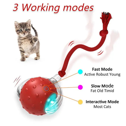 Automatic Interactive Cat Toy Ball for Indoor Use - Fast Rolling, Chirping, and Motion-Activated Pet Entertainment