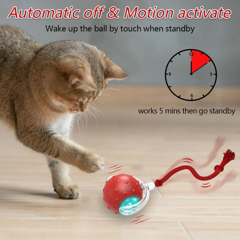 Automatic Interactive Cat Toy Ball for Indoor Use - Fast Rolling, Chirping, and Motion-Activated Pet Entertainment