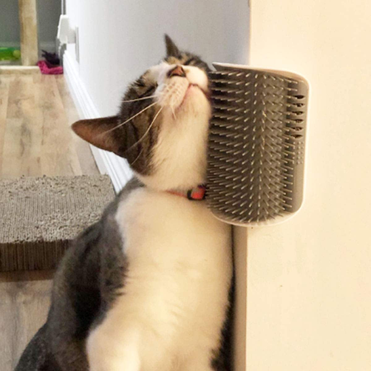 Softer Self-Grooming Tool Set with Catnip Wall Corner Massage Comb and Scratcher for Long and Short Fur Cats and Dogs (Gray) - 2 Pack