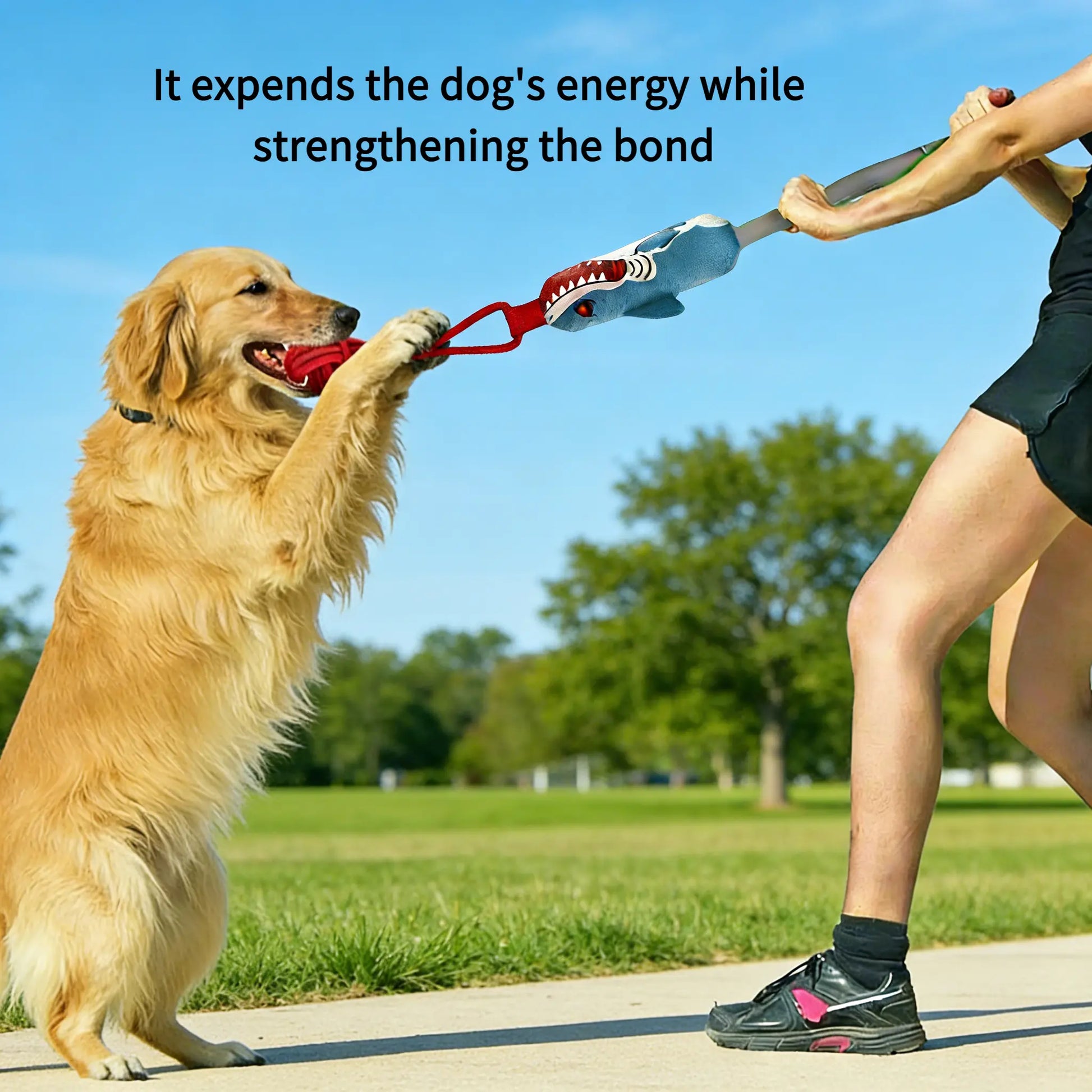 Interactive Tug Toy for Dogs - Designed for Engaging Playtime, Teeth Cleaning, and Strengthening Bond with Owners - Suitable for Small and Medium Breeds - Indoor and Outdoor Use